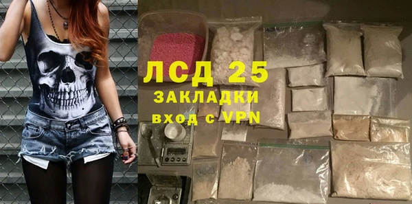 эйфоретик Богданович