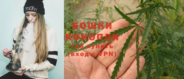 эйфоретик Богданович