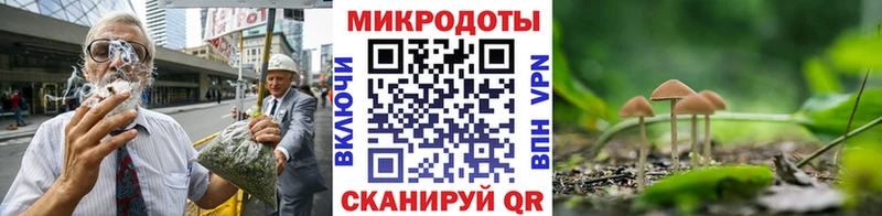 Псилоцибиновые грибы Magic Shrooms  Пионерский 