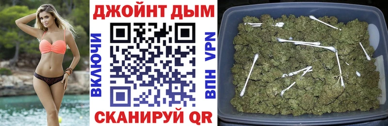 где можно купить наркотик Пионерский Каннабис сатива